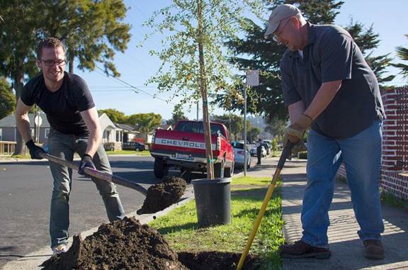Planting duo